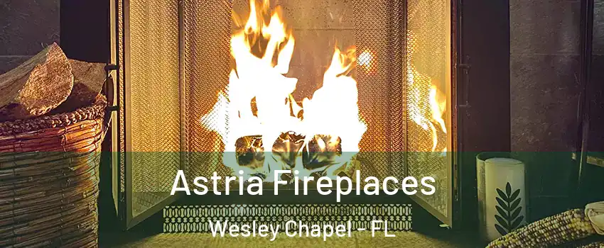  Astria Fireplaces Wesley Chapel - FL