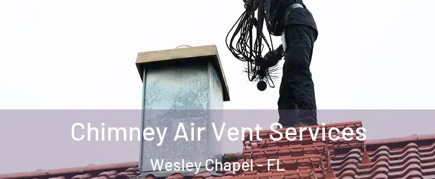  Chimney Air Vent Services Wesley Chapel - FL