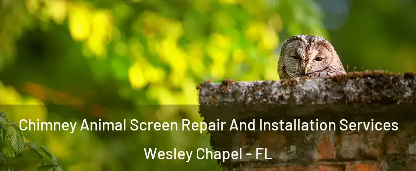  Chimney Animal Screen Repair And Installation Services Wesley Chapel - FL