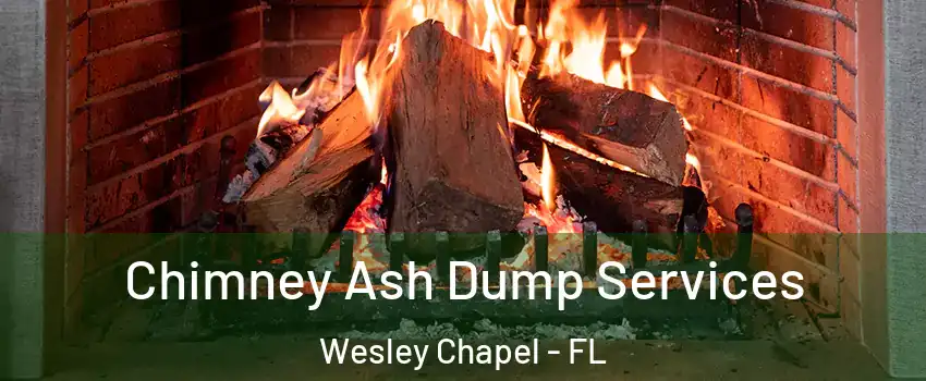  Chimney Ash Dump Services Wesley Chapel - FL