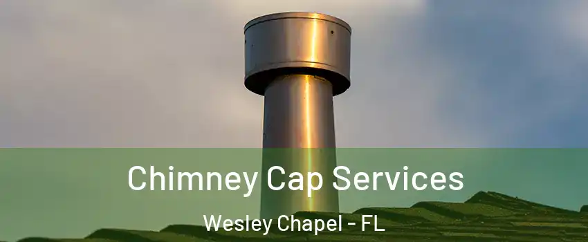  Chimney Cap Services Wesley Chapel - FL