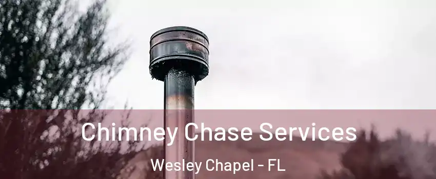  Chimney Chase Services Wesley Chapel - FL