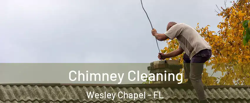  Chimney Cleaning Wesley Chapel - FL