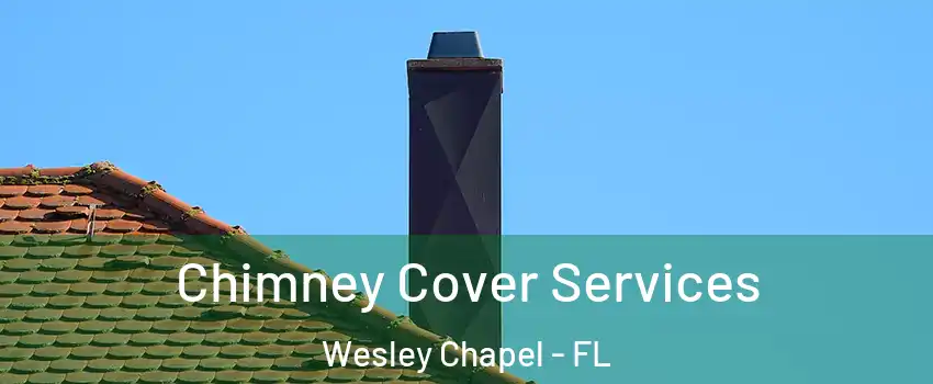 Chimney Cover Services Wesley Chapel - FL