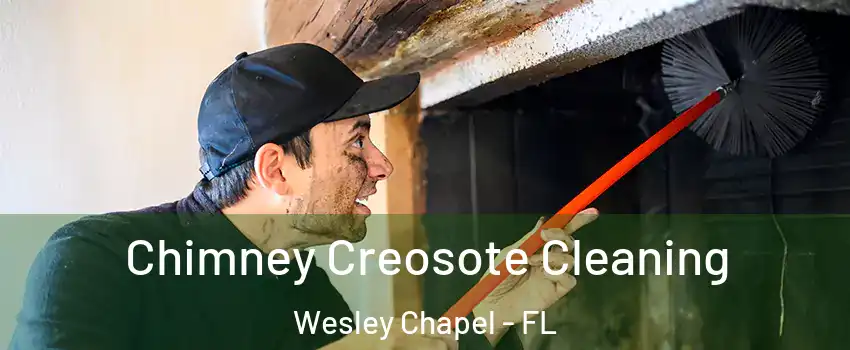  Chimney Creosote Cleaning Wesley Chapel - FL