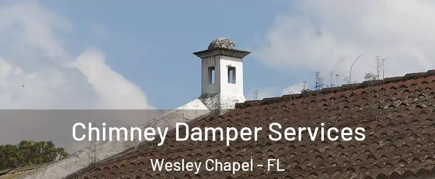  Chimney Damper Services Wesley Chapel - FL