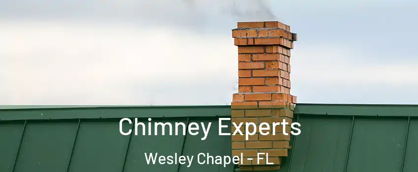 Chimney Experts Wesley Chapel - FL