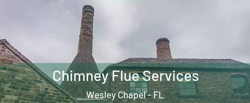  Chimney Flue Services Wesley Chapel - FL