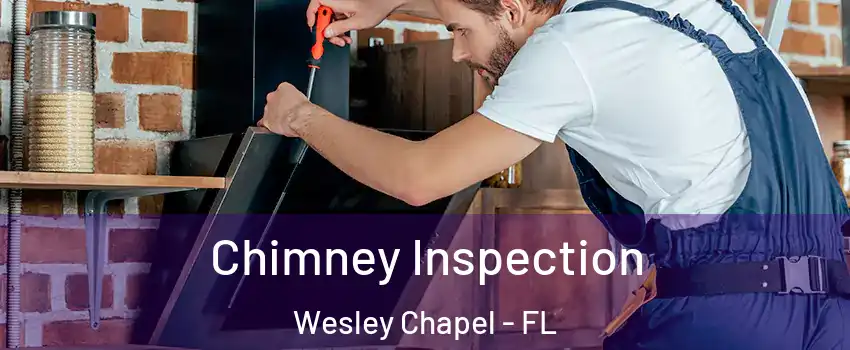  Chimney Inspection Wesley Chapel - FL