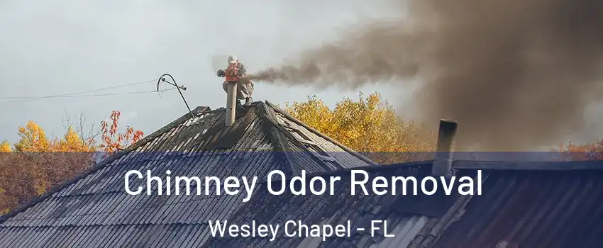  Chimney Odor Removal Wesley Chapel - FL