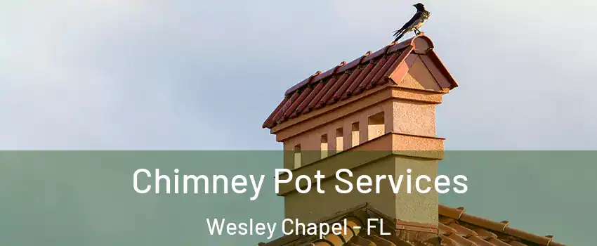  Chimney Pot Services Wesley Chapel - FL