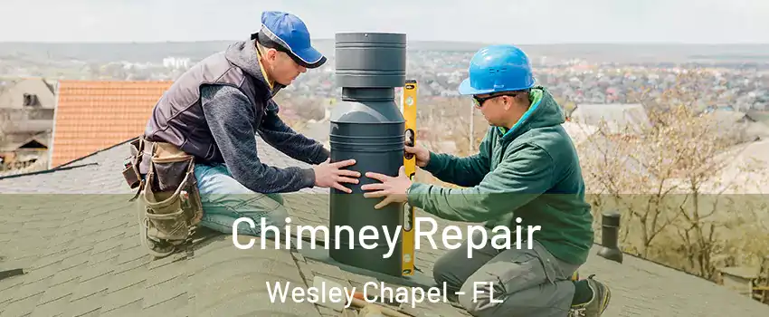  Chimney Repair Wesley Chapel - FL