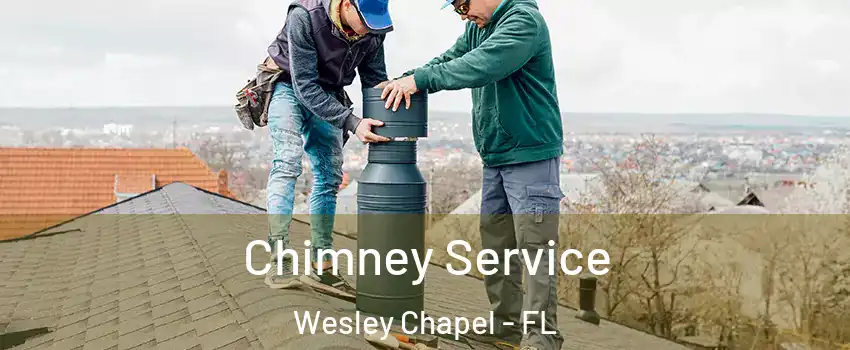  Chimney Service Wesley Chapel - FL