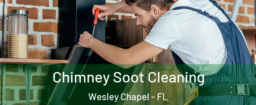  Chimney Soot Cleaning Wesley Chapel - FL