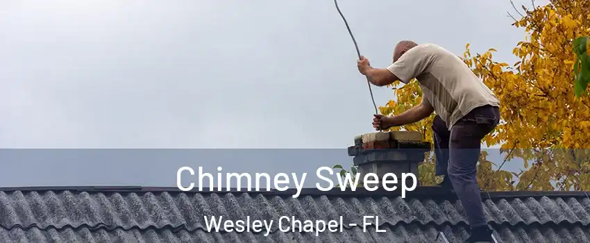  Chimney Sweep Wesley Chapel - FL