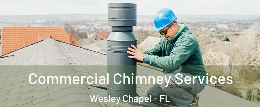 Commercial Chimney Services Wesley Chapel - FL