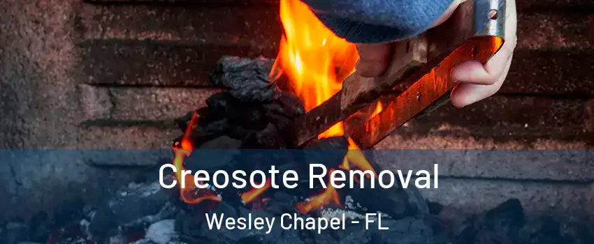  Creosote Removal Wesley Chapel - FL