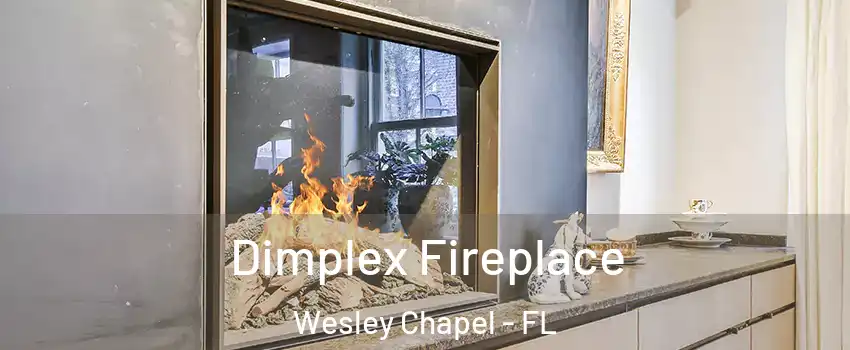  Dimplex Fireplace Wesley Chapel - FL