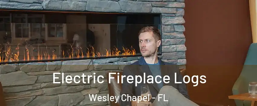  Electric Fireplace Logs Wesley Chapel - FL
