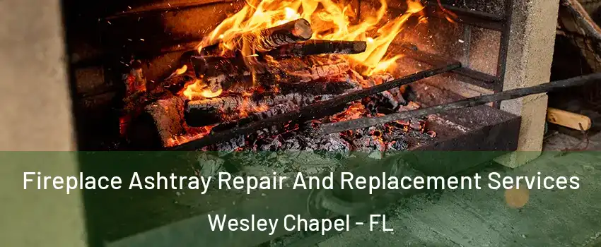  Fireplace Ashtray Repair And Replacement Services Wesley Chapel - FL