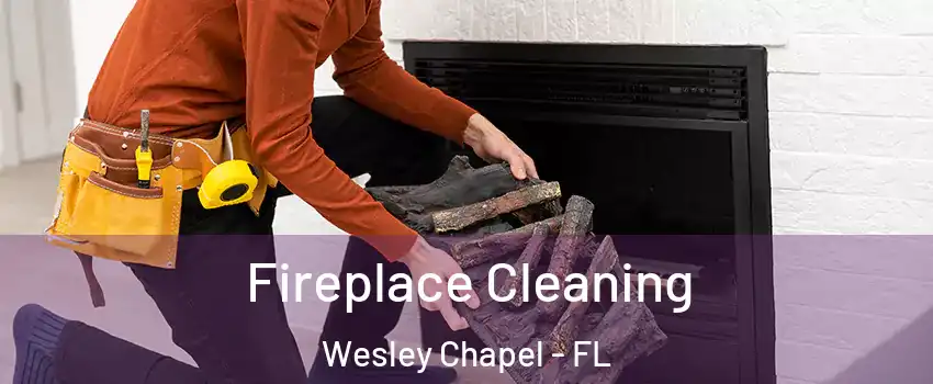  Fireplace Cleaning Wesley Chapel - FL