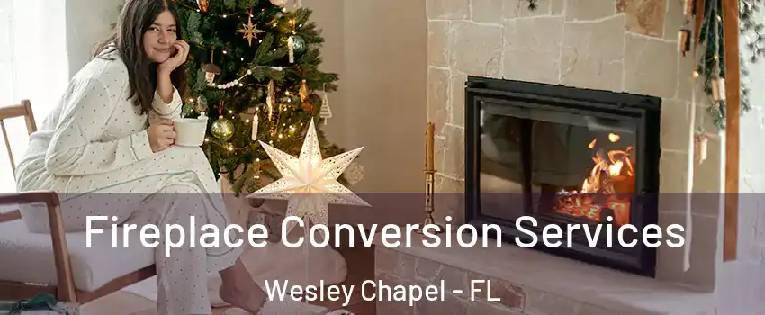  Fireplace Conversion Services Wesley Chapel - FL