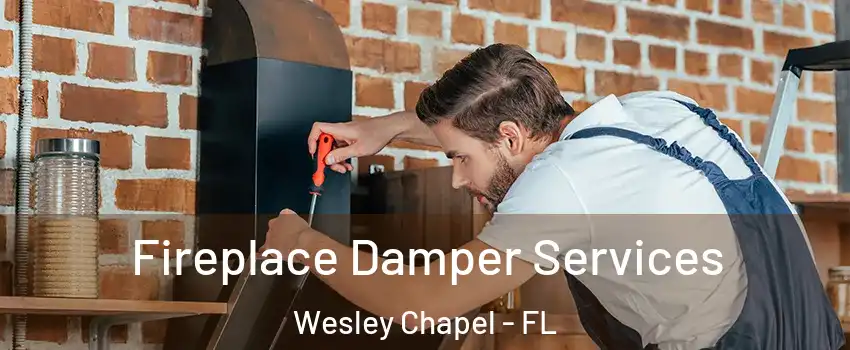  Fireplace Damper Services Wesley Chapel - FL