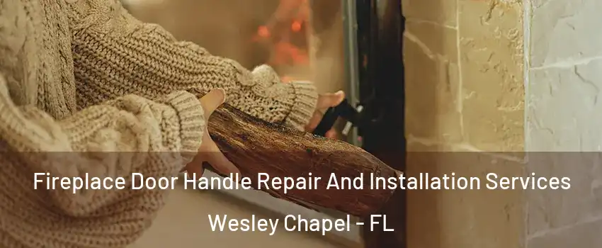  Fireplace Door Handle Repair And Installation Services Wesley Chapel - FL