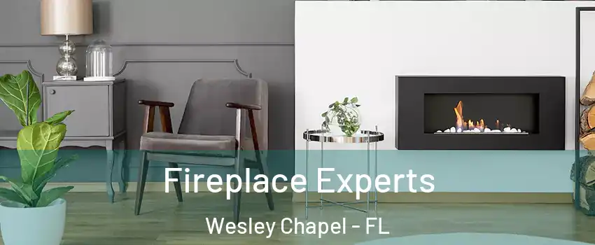  Fireplace Experts Wesley Chapel - FL