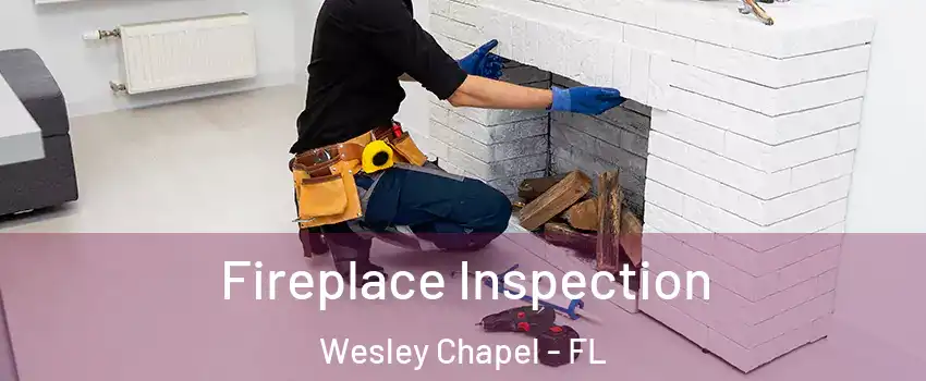  Fireplace Inspection Wesley Chapel - FL