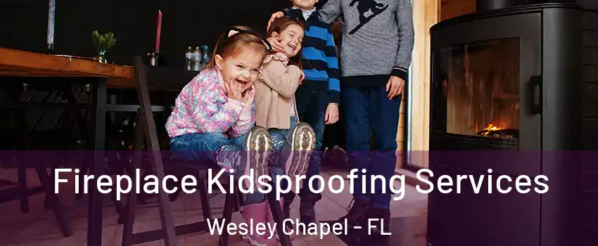  Fireplace Kidsproofing Services Wesley Chapel - FL