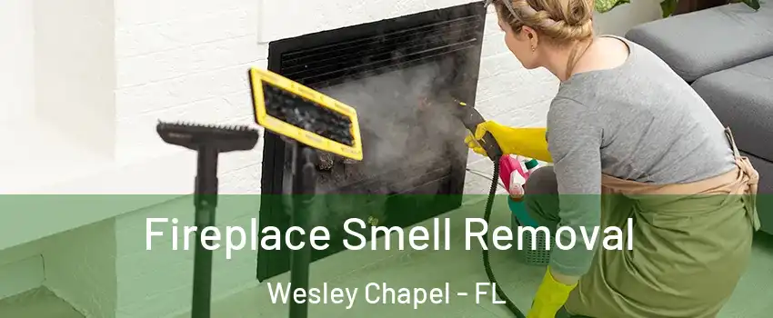  Fireplace Smell Removal Wesley Chapel - FL
