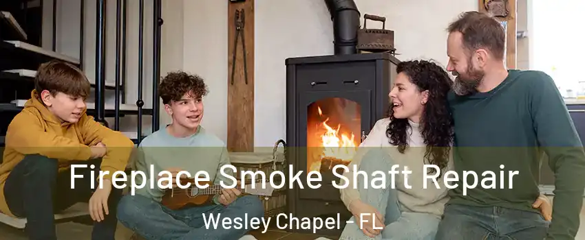  Fireplace Smoke Shaft Repair Wesley Chapel - FL