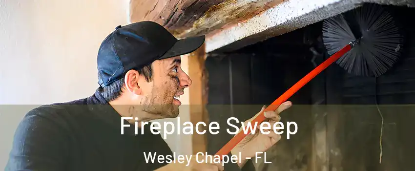  Fireplace Sweep Wesley Chapel - FL