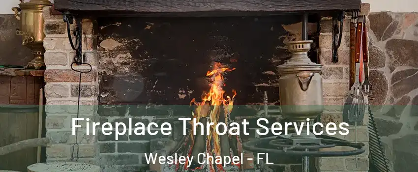 Fireplace Throat Services Wesley Chapel - FL