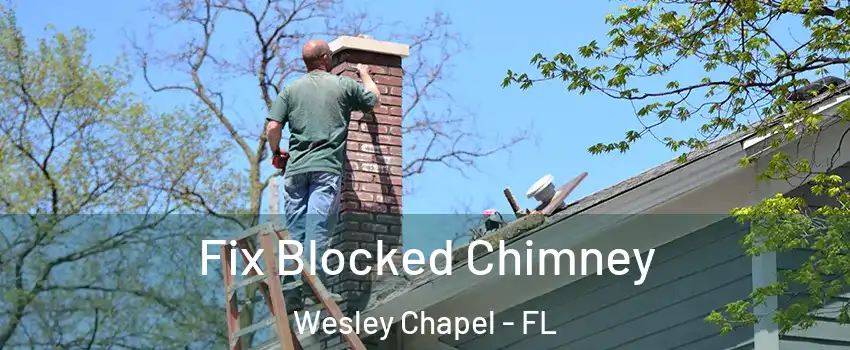  Fix Blocked Chimney Wesley Chapel - FL