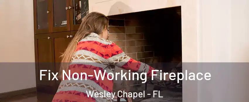  Fix Non-Working Fireplace Wesley Chapel - FL