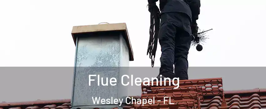  Flue Cleaning Wesley Chapel - FL