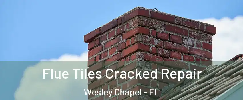  Flue Tiles Cracked Repair Wesley Chapel - FL