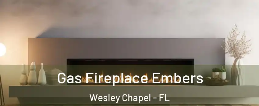  Gas Fireplace Embers Wesley Chapel - FL