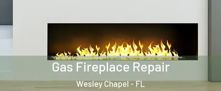  Gas Fireplace Repair Wesley Chapel - FL