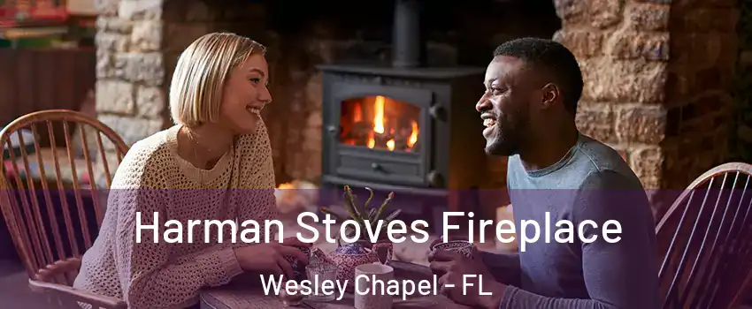  Harman Stoves Fireplace Wesley Chapel - FL