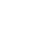 Professional Chimney Flue Installation in Wesley Chapel, Florida