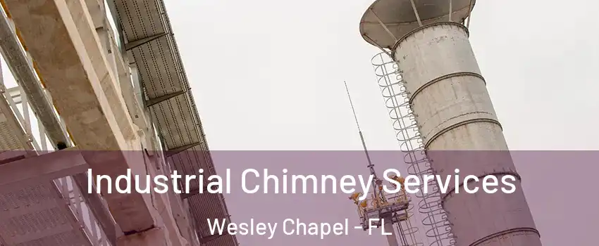  Industrial Chimney Services Wesley Chapel - FL