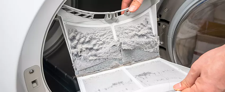 Best Dryer Lint Removal Company in Wesley Chapel, Florida