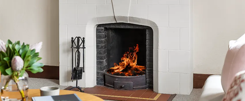 Valor Fireplaces and Stove Repair in Wesley Chapel, FL