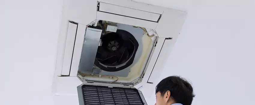 Benefits of Professional Air Duct Cleaning in Wesley Chapel, Florida