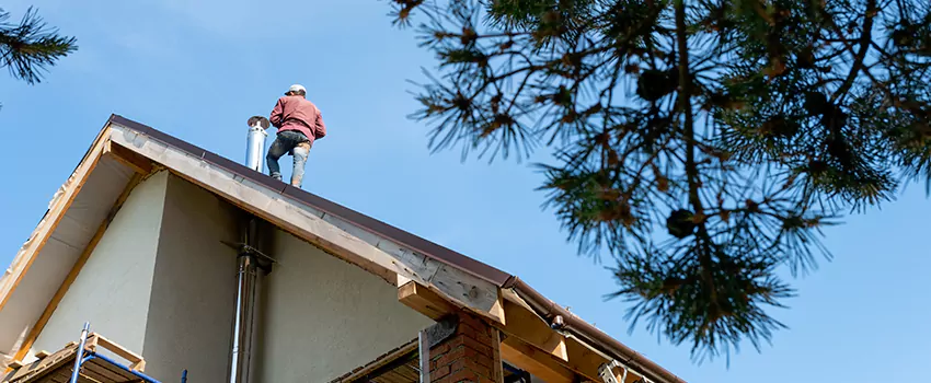 Birds Removal Contractors from Chimney in Wesley Chapel, FL