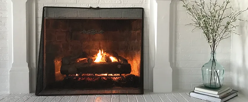 Cost-Effective Fireplace Mantel Inspection And Maintenance in Wesley Chapel, FL