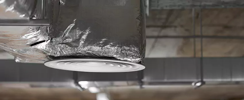 Signs of Dust Accumulation in Vents in Wesley Chapel, FL